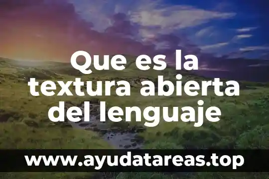 Que es la textura abierta del lenguaje