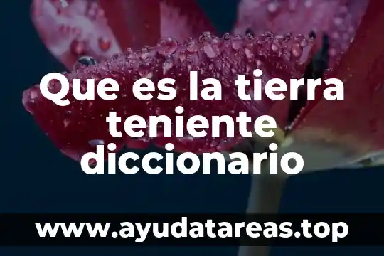 Qué es masoquista significado diccionario 3 Que es la tierra teniente diccionario
