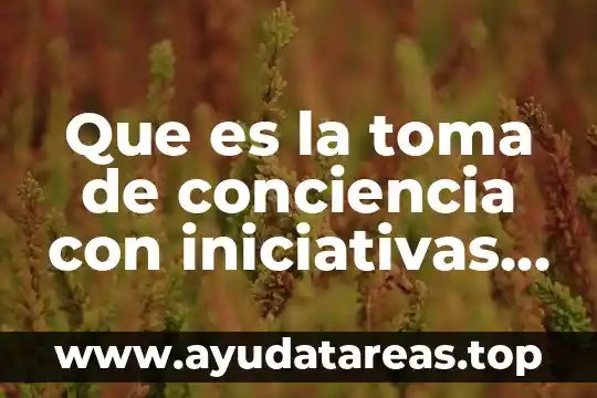 Que es la vigencia de las leyes 4 Que es la toma de conciencia con iniciativas y leyes