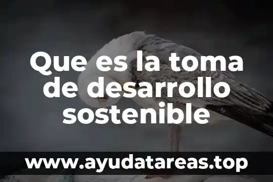 Que es desarrollo sostenible segun autores 3 Que es la toma de desarrollo sostenible