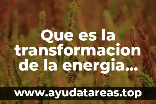 Que es la transformacion de la energia potencial en cinetica