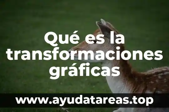 Qué es creación de gráficas 5 Qué es la transformaciones gráficas