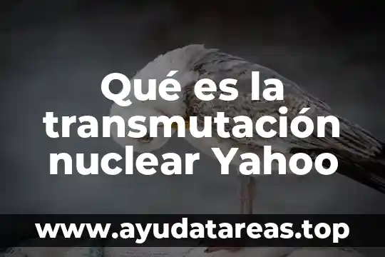 Que es la carga nuclear efectiva yahoo 8 Qué es la transmutación nuclear Yahoo