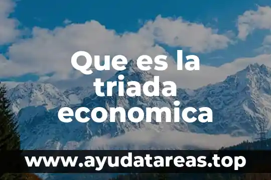 Que es la triada economica