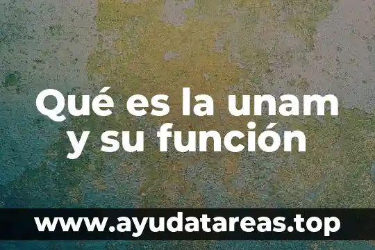 Que es un función explicita 5 Qué es la unam y su función