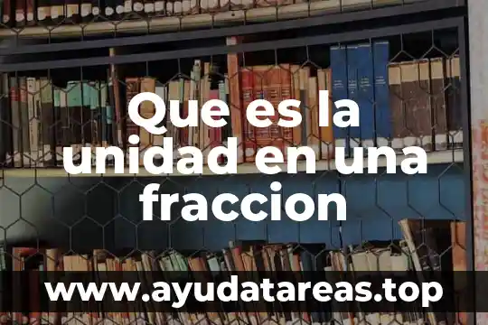 Que es la unidad en una fraccion