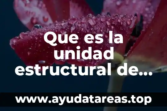 Que es la unidad estructural de los carbohidratos
