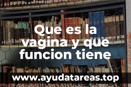 Que es la asido uriko en sangre funcion 4 Que es la vagina y que funcion tiene