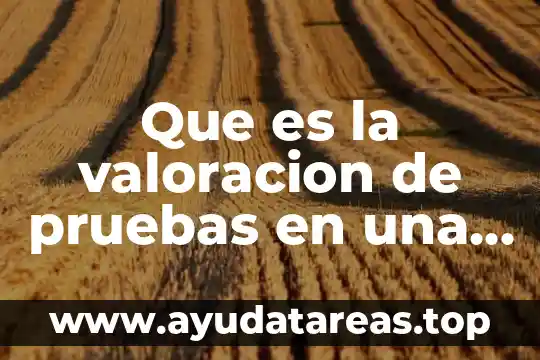 Que es la valoracion de pruebas en una auditoria administrativa
