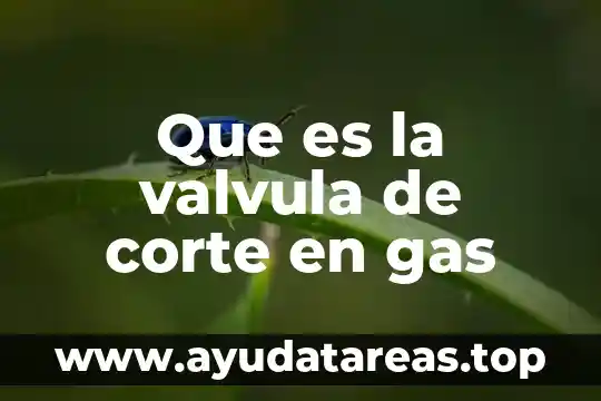 Que es la valvula de corte en gas