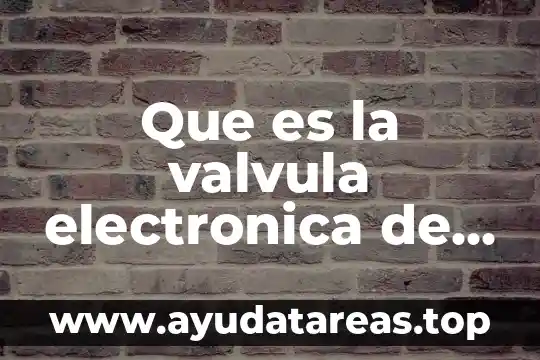 Que es la valvula electronica de vacio