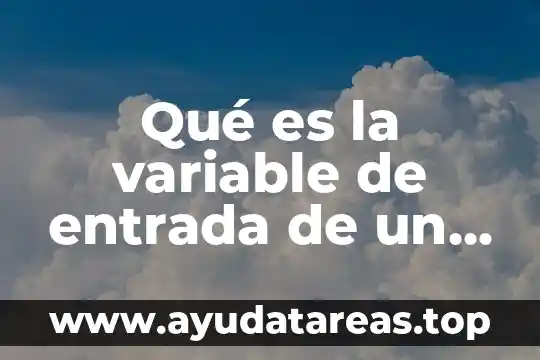 Que es una variable matematica y tipos 4 Qué es la variable de entrada de un proceso