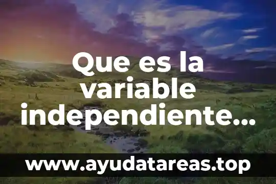 Que es una variable y tipos de variables en investigacion 4 Que es la variable independiente y dependiente de desinfectante hospitalario