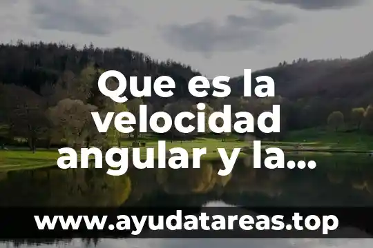 Que es la velocidad angular y la velocidad angular media