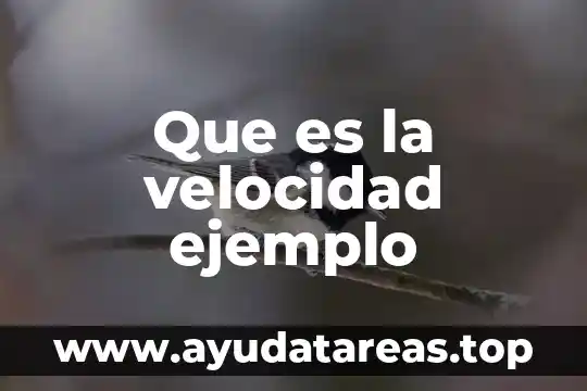 Que es la velocidad ejemplo
