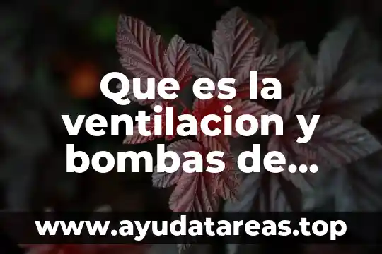 Que es agua inodora e incolora 5 Que es la ventilacion y bombas de agua