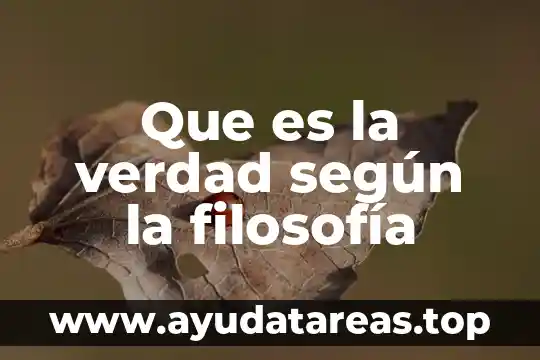 Que es la dignidad y la verdad de forma bonita 6 Que es la verdad según la filosofía