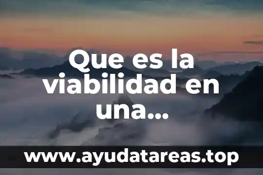 Que es la viabilidad en una investigación