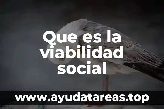 Que es la viabilidad social