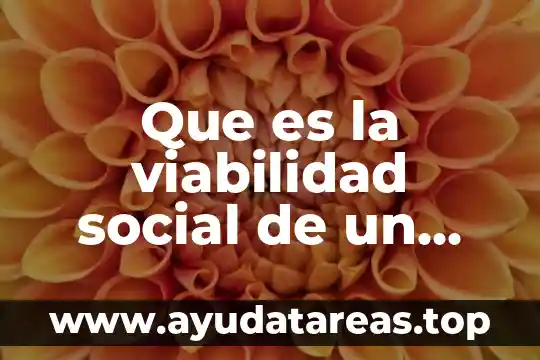 Que es la viabilidad social de un proyecto