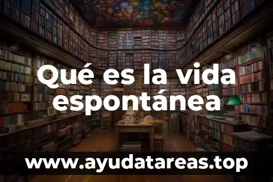 Que es ser un campeon en la vida 6 Qué es la vida espontánea