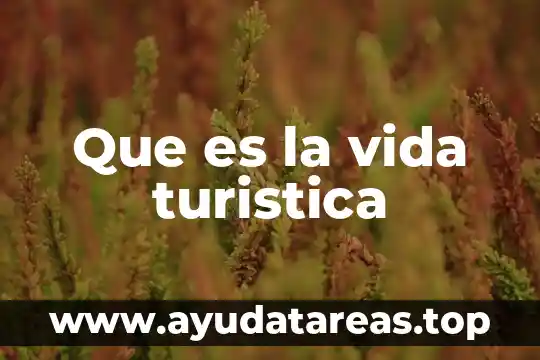 Que es la vida turistica