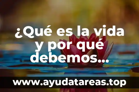 Qué es la vida y muerte para el budismo 6 ¿Qué es la vida y por qué debemos estudiarla?