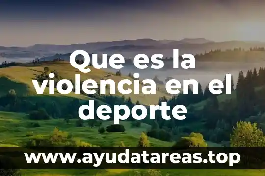 Frases de lo importante que es el deporte 6 Que es la violencia en el deporte
