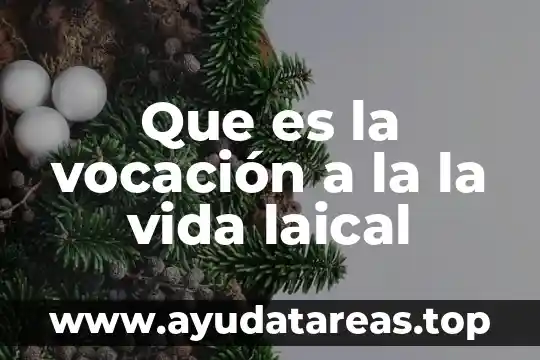 Por que es importante el agua en la vida diaria 4 Que es la vocación a la la vida laical
