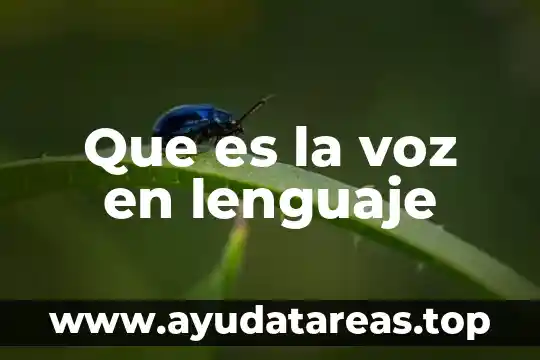 Que es el lenguaje oral significado 8 Que es la voz en lenguaje