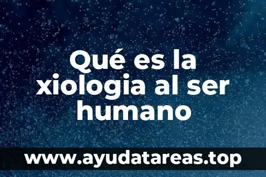 Que es ser superficial significado 5 Qué es la xiologia al ser humano