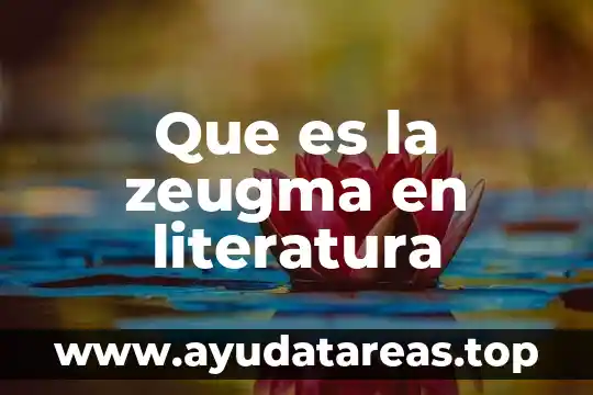 Que es una nota y sus tipos literatura 6 Que es la zeugma en literatura