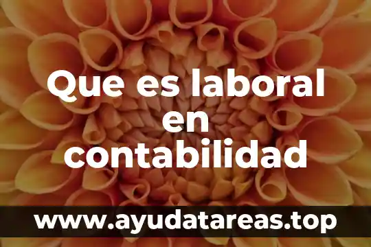 Que es la planta de balsamo 4 Que es laboral en contabilidad