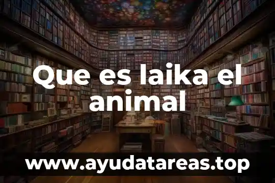 Qué es croquis general y a detalle 6 Que es laika el animal