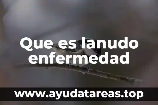 Que es lanudo enfermedad