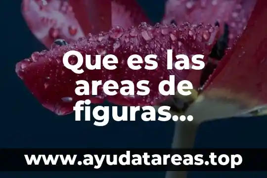 Que es las areas de figuras regulares e iregulares