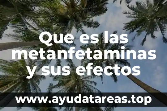Inmunocal que es y efectos 4 Que es las metanfetaminas y sus efectos