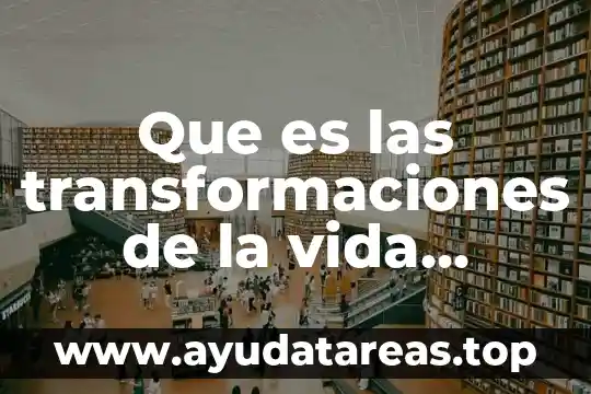 Que es la quimica en la vida cotidiana 8 Que es las transformaciones de la vida cotidiana