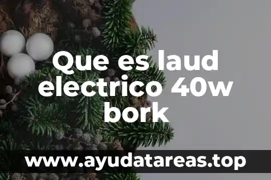 Que es laud electrico 40w bork
