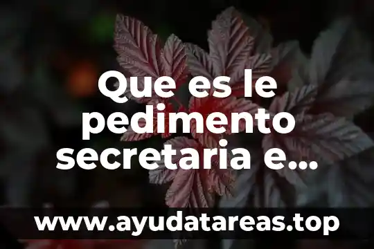 Que es le pedimento secretaria e economia