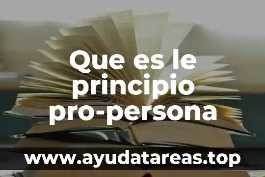 Que es le principio pro-persona