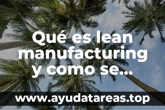 Que es el razonamiento logico y como se aplica 5 Qué es lean manufacturing y como se aplica