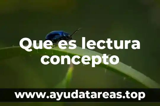 Que es lectura concepto