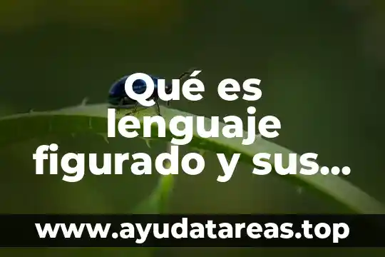 Que es libreria en lenguaje c 3 Qué es lenguaje figurado y sus ejemplos