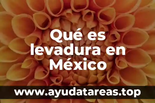 Que es el monismo en derecho internacional publico 3 Qué es levadura en México