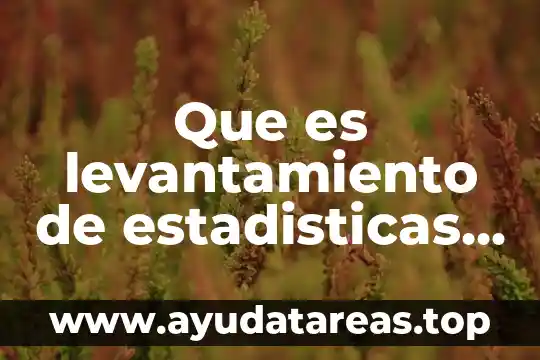 Que es levantamiento de estadisticas y encuestas
