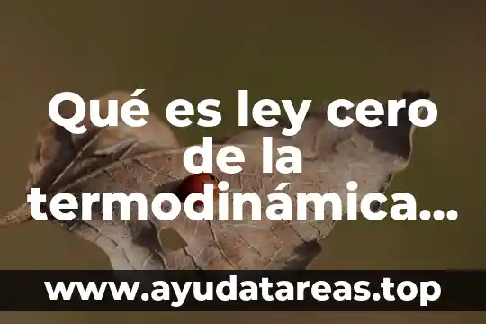 Que es la inercia de un cuerpo en fisica 3 Qué es ley cero de la termodinámica en física
