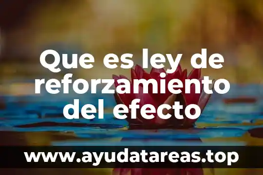 Que es la ley de justicia y paz 8 Que es ley de reforzamiento del efecto