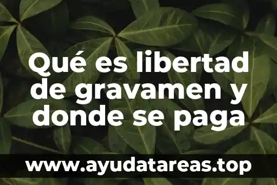 Que es el agua subterranea y donde se encuentra 5 Qué es libertad de gravamen y donde se paga