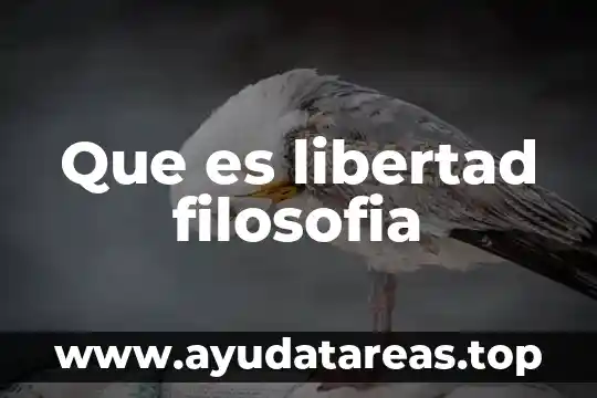 Que es libertad filosofia
